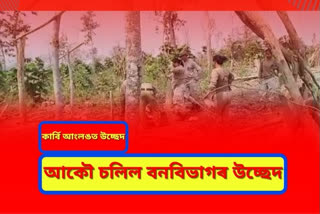 eviction-at-diphu-lumding-path-forest
