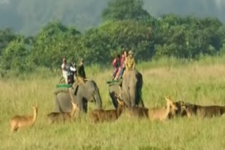 Kaziranga National Park