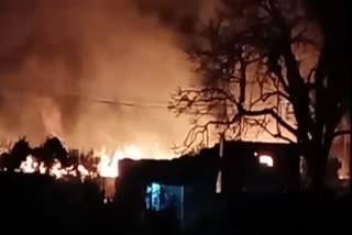 Poultry farm fire accident