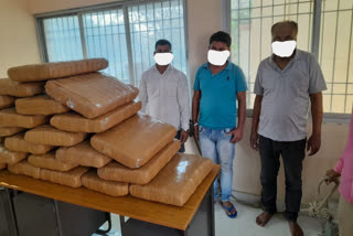 Huge quantity of ganja seized in Saran