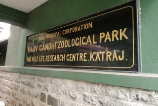 Rajiv Gandhi Zoo Pune open