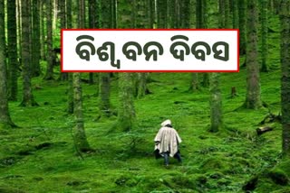 International Forest Day 2022: ଅମୂଲ୍ୟ ସମ୍ପଦ ଜଙ୍ଗଲ, ଗଛ ଲଗାନ୍ତୁ ଜୀବନ ବଞ୍ଚାନ୍ତୁ