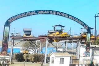 Raid at Mahakaushal shugar mill