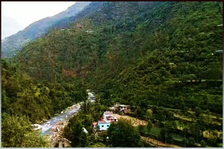 Mandi Forest Department