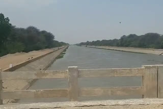 drinking water scarcity in rajasthan