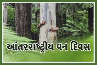International Forest Day: "નમો વડ વન", રાજ્યમાં 33 જિલ્લામાં 75 સ્થળોએ વડ વન ઉભાં કરાશે