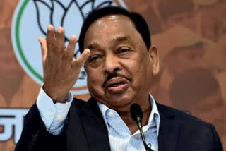 Narayan Rane