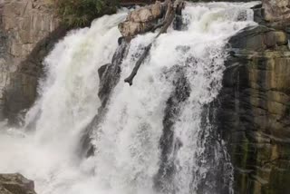 tamil-nadu-hogenakkal-water-level-increase