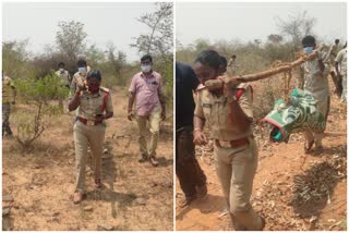 മൃതദേഹം ചുമലിലെടുത്ത് വനിത എസ്ഐ  female si carrying rotten corpse  latest national news  വനത്തിൽ അഴുകിയ മൃതദേഹം