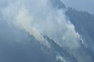 kinnaur nigulsari forest fire