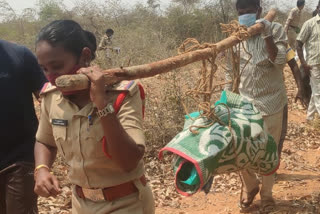 woman SI walked 5 km carrying dead body on shoulder