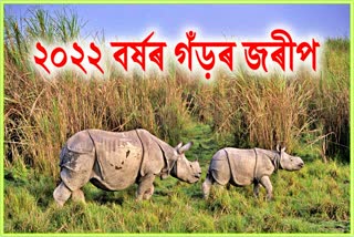 Morigaon one horned rhino census 2022