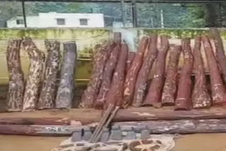 2,500 kg of red sanders seized at Cochin Port