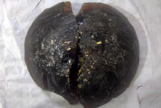 whale-ambergris-worth-rs-2-5-crore-in-madurai
