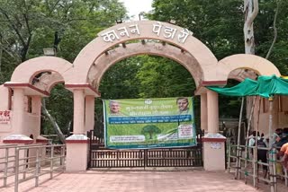 female-bear-sick-in-kanan-pendari-zoo