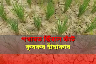 farmers face a lot of problems in barhampur