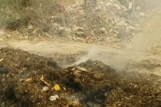 Who started fire in dry leaves can become big reason for a big accident