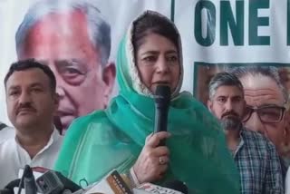 mehbooba-mufti-slams-centre-over-the-kashmir-files-says-bjp-wants-kashmiri-pandits-and-muslims-to-fight-each-other