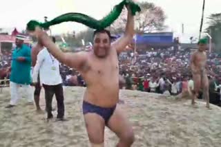 Wrestler dance on Lalu Song in Arena