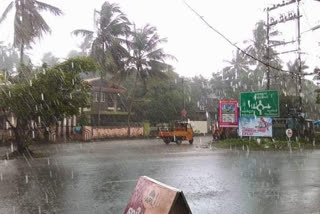 Palakkad Summer rain  വേനലിൽ കുളിരായി പാലക്കാട് പരക്കെ മഴ  വേനലിൽ ആശ്വാസമായി പാലക്കാട് വേനൽമഴ  പാലക്കാട്‌ വേനൽമഴ  Palakkad wether updates  പാലക്കാട് കാലാവസ്ഥ