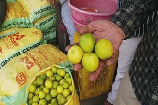 Lemon Price Hike in Summer : અબકી બાર લીંબુ 200 કે પાર, ગૃહિણીનું બજેટ ખોરવાયું