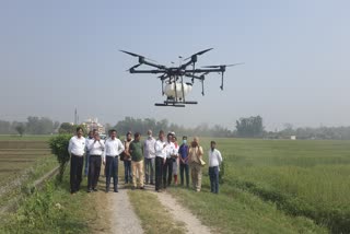 agricultural university scientists