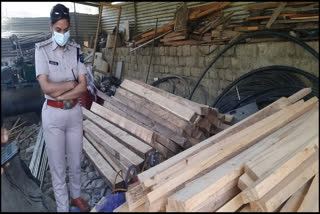 illegal cedarwood recovered in Karsog