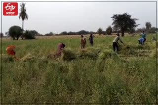 Pratapgarh Farmers on Land Problem