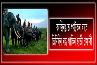 kaziranga-national-park-to-remain-close-from-march-26-to-conduct-one-horned-rhino-census