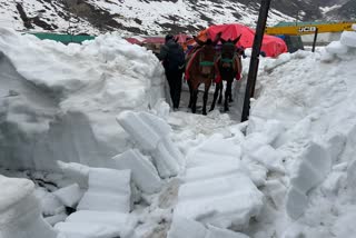 kedarnath-walkway-improved-for-the-movement-of-horses-and-mules