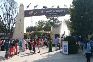 8 animals adopted in Indore