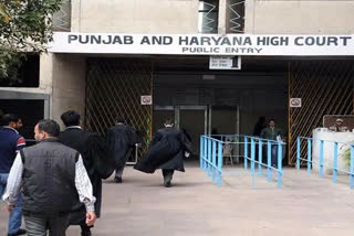 punjab haryana high court