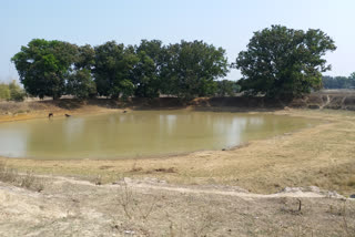 ponds started dry in villages