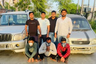 buffalo thief gang in karnal