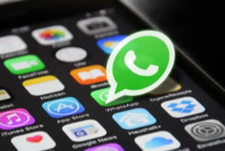 Meta-owned WhatsApp on Friday announced its selection of top 10 incubatees of the ongoing WhatsApp Incubator Programme (WIP) -- an initiative to facilitate positive and measurable health outcomes using the WhatsApp Business Platform.