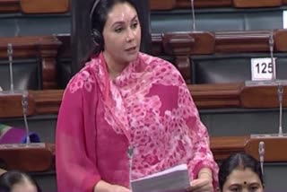 MP Diya Kumari raised this big demand in Loksabha