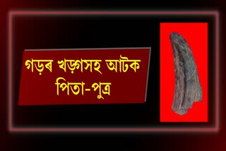 Rhino horn seized in Karbi Anglong
