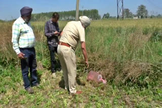 a-balloon-with-an-imprint-of-i-love-pakistan-found-in-punjab