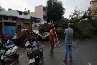 ಬೆಳಗಾವಿಯಲ್ಲಿ ಗಾಳಿ ಸಹಿತ ಭಾರೀ ಮಳೆ