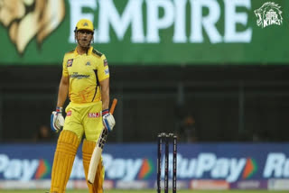 MS Dhoni batting, Shreyas Iyer on MS Dhoni, CSK's MS Dhoni, MS Dhoni innings in IPL match, IPL updates