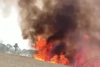 Wheat burnt due to fire in Vidisha