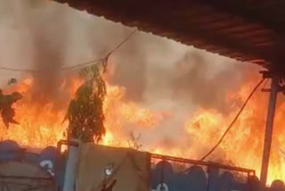 Ujjain fire in wheat farm