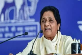 BSP National President Mayawati