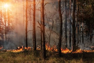 Fire at Purulia