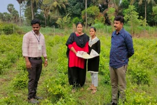 എലപ്പുള്ളി മുല്ലക്കൃഷി  രാമേശ്വരം മുല്ലക്കൃഷി  elappully jasmine farming  മുല്ലക്കൃഷി ബിന്ദു  പാലക്കാട് മുല്ലക്കൃഷി  palakkad jasmine farming