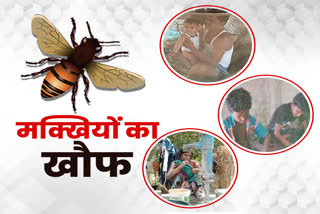 Gopalganj Vikrampur Villagers troubled by flies