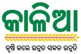 Kalia Yojana: ଆସନ୍ତା ୩ ବର୍ଷରେ ଖର୍ଚ୍ଚ ହେବ ୫୯୩୩.୩୧ କୋଟି