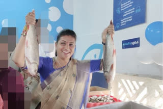 mla Roja launched Fish Outlet