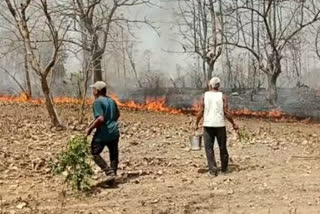 MP destruction caused by fire scorching heat