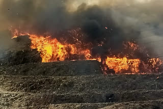 fire break out in ghazipur dumping yard in delhi